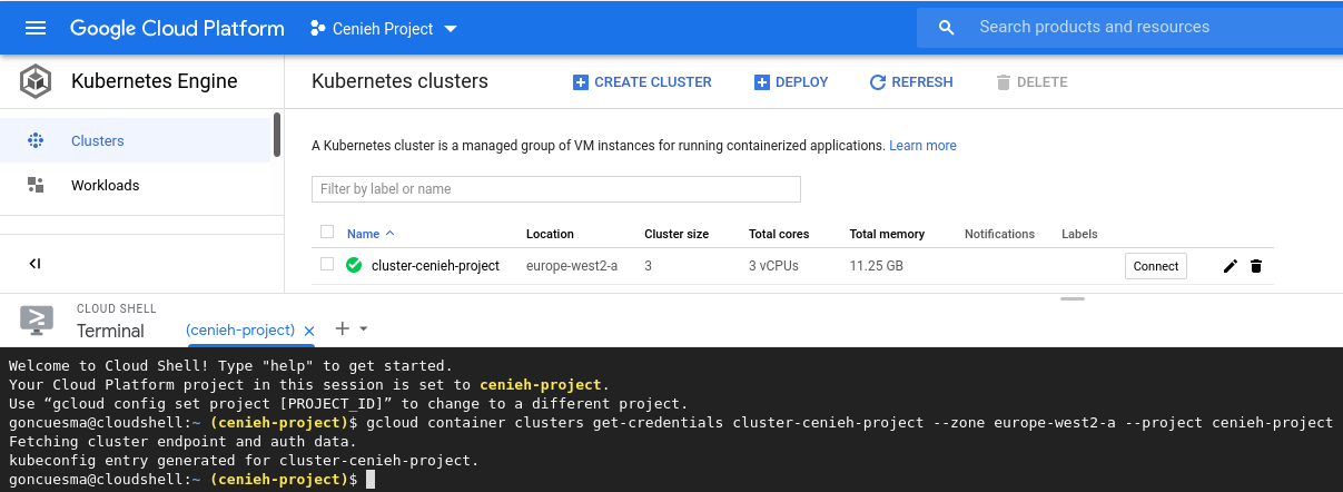 ../_images/gke-cluster.png